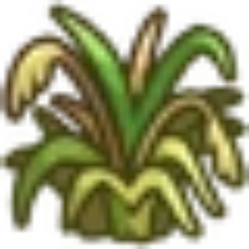 Wild Prairie Grass The Sims 4