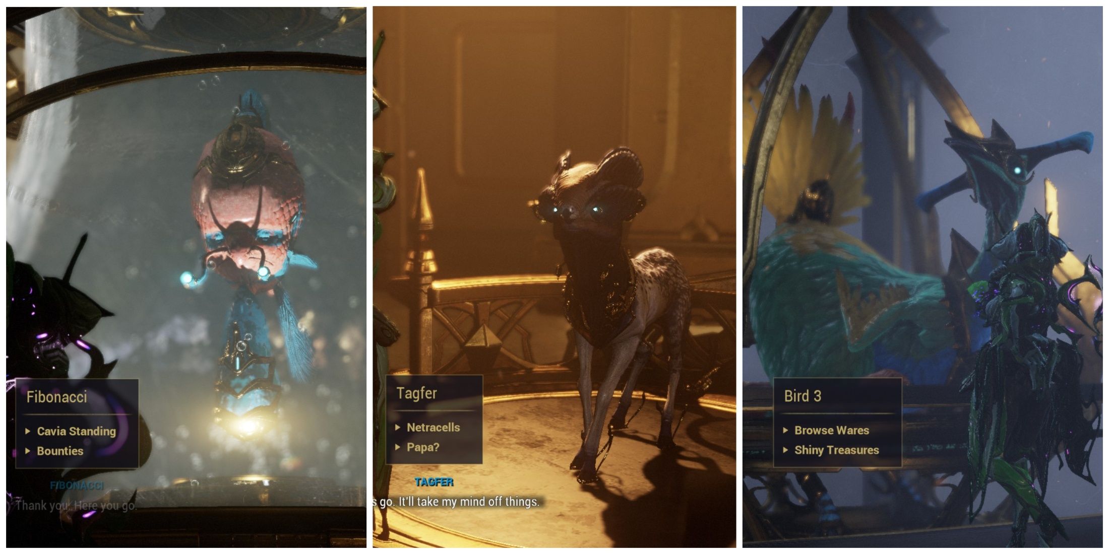 Warframe de cavia