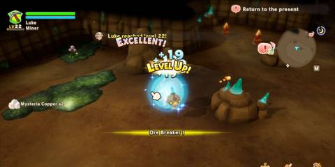 What Is The Max Skill Level In Fantasy Life i