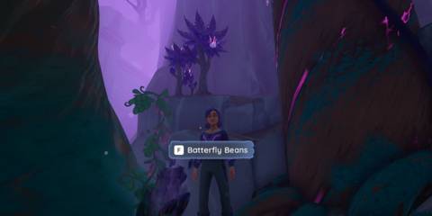 Where To Find Batterfly Beans in Palia