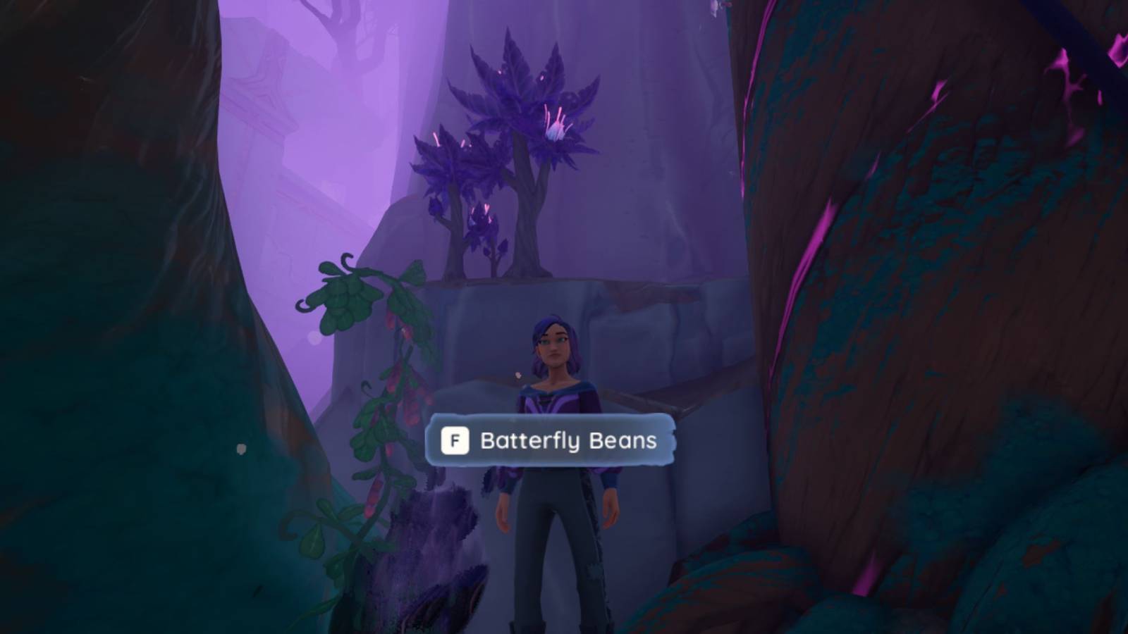 Where To Find Batterfly Beans in Palia