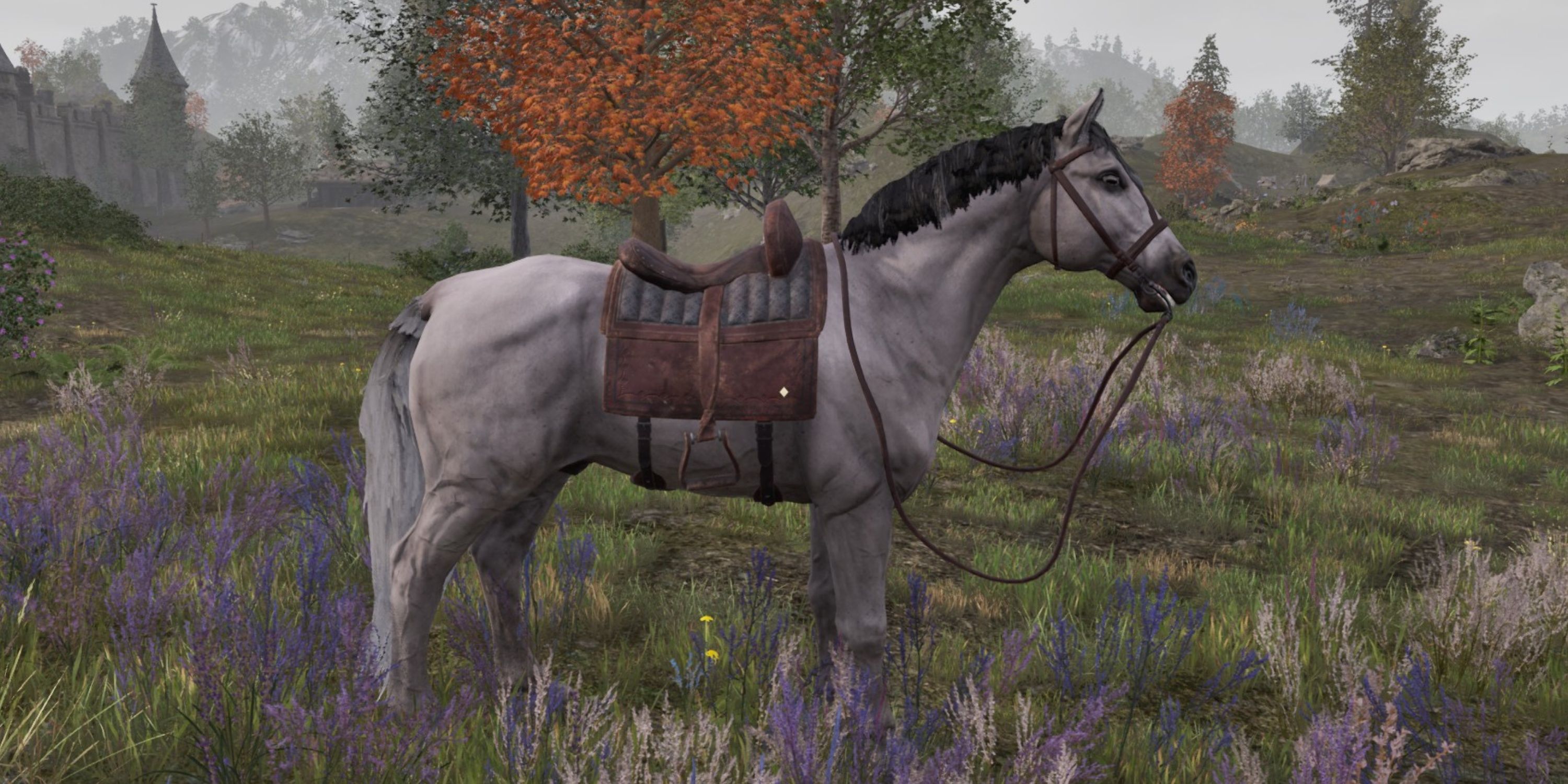 White Horse