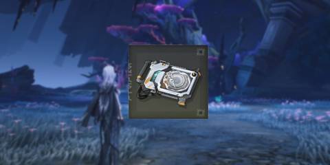 WuWa Modifier Feature