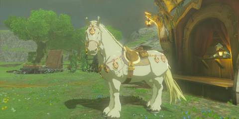 zelda tears of the kingdom royal white stallion