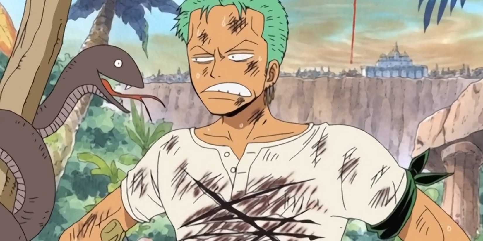 Zoro in Alabasta One Piece