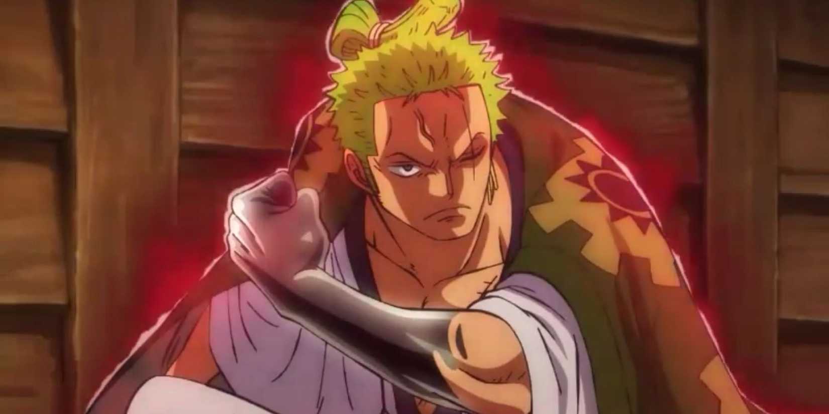 Zoro using No Sword Style in Wano - One Piece