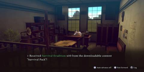 The Player Getting DLC Items 