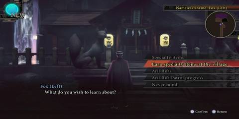 Raidou Talking To The Fox Statue 