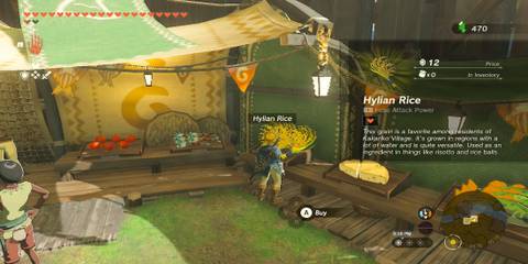 The Player Buying Hylian Rice 