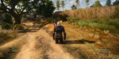A glitch in The Witcher 3 Wild Hunt