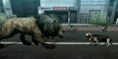 A lion confronting a bunch of beagles - Tokyo Jungle