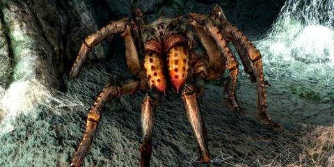 A massive spider in The Elder Scrolls 5 Skyrim