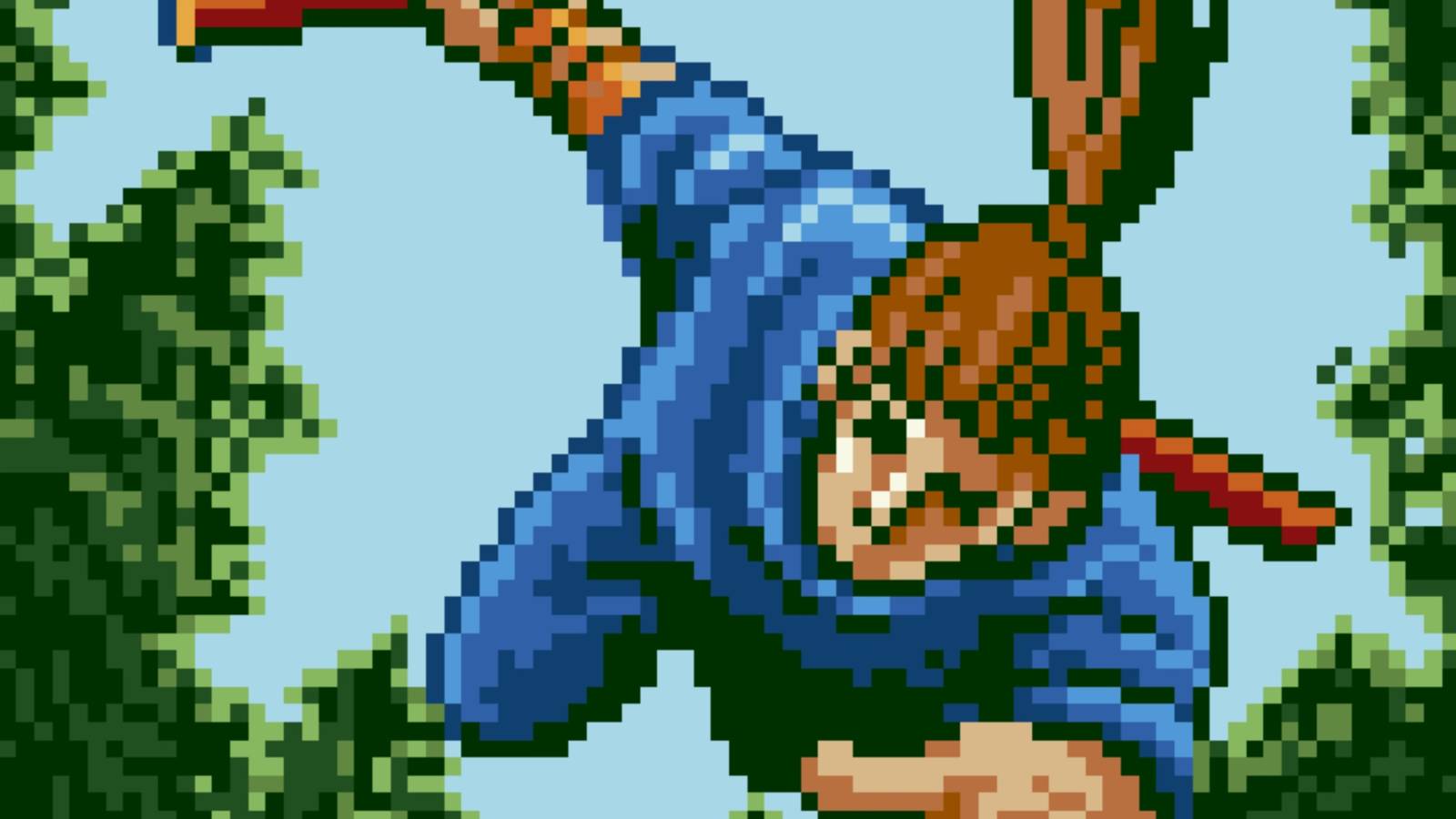 A Ninja in Inindo Way Of The Ninja