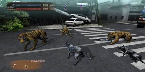 A pack of wolves fighting a bunch of tigers - Tokyo Jungle