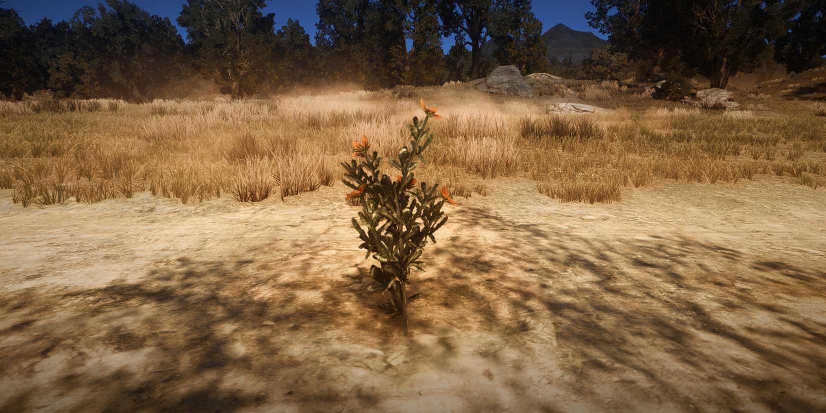 Weed Mod Rdr2 Survivalist Challenges in Red Dead Redemption