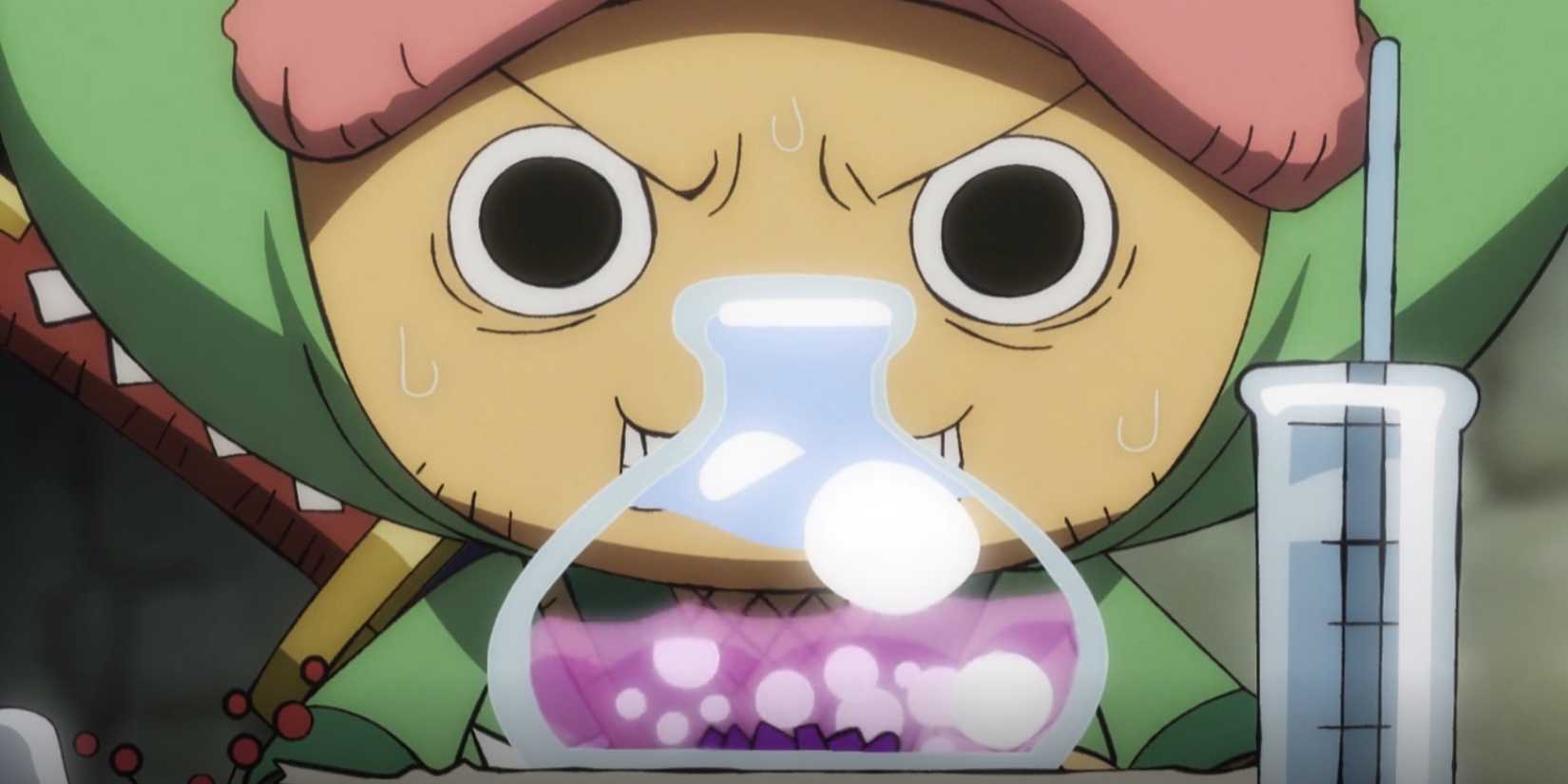 Chopper akan menyelamatkan Luffy dari kematian One Piece