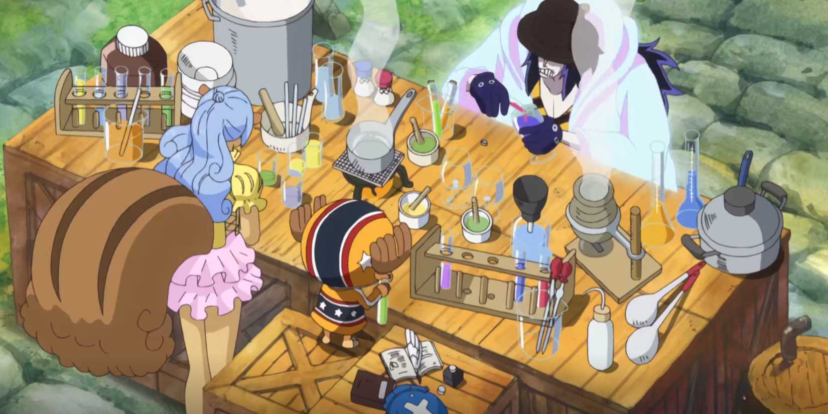 Chopper Cures Mink Village One Piece