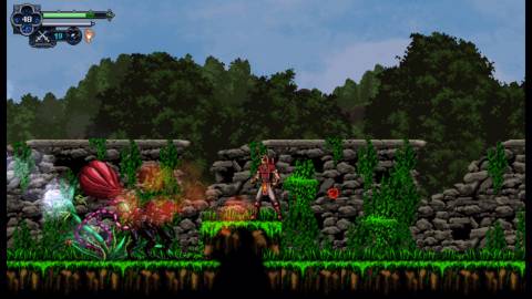 chronicles-of-the-wolf_apcher-valley