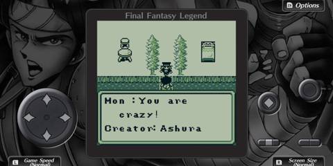 Collection of SaGa Final Fantasy Legend Nintendo Switch (1)