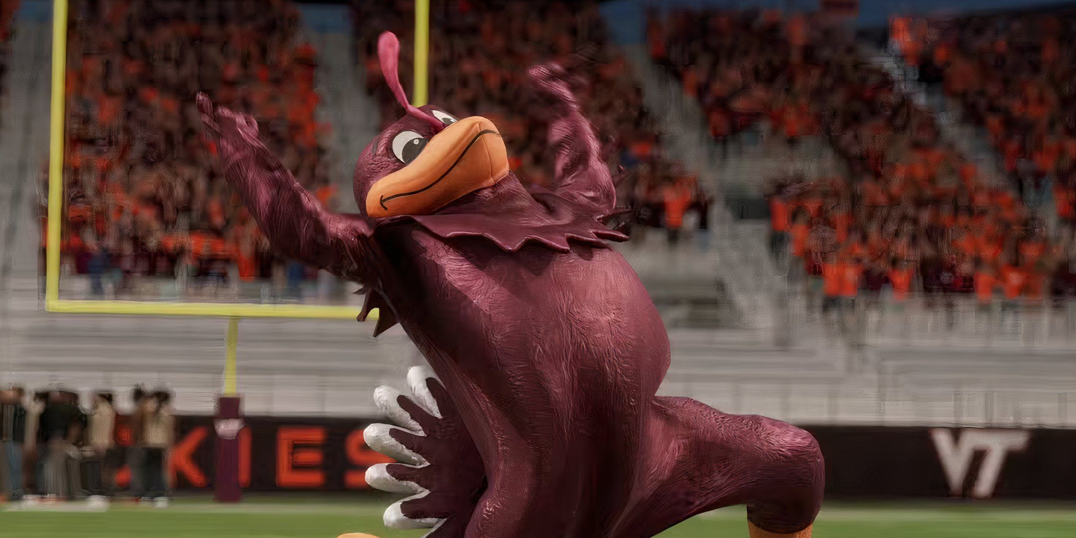 college football 26 rooster mascot