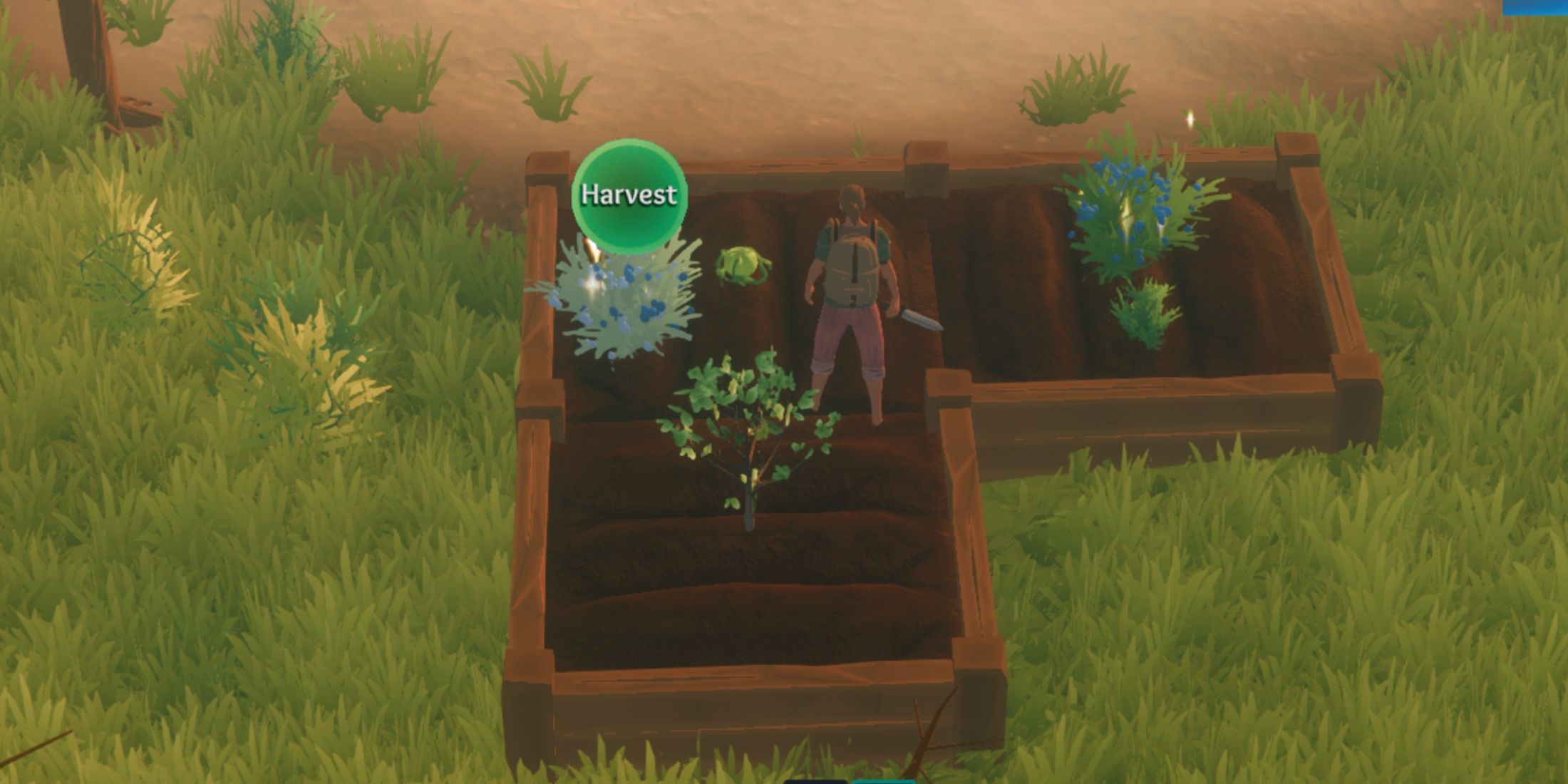 crops len's island