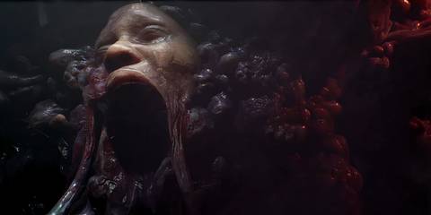 Directive 8020 trailer thumb