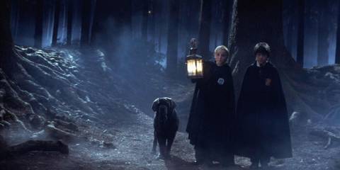 Draco and Harry in the spotlight in Harry Potter and the Philosopher's Stone