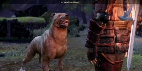 Dragon Age Origins Mabari
