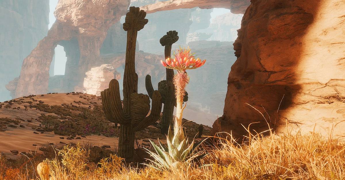 Where to Get Agave Seeds in Dune: Awakening