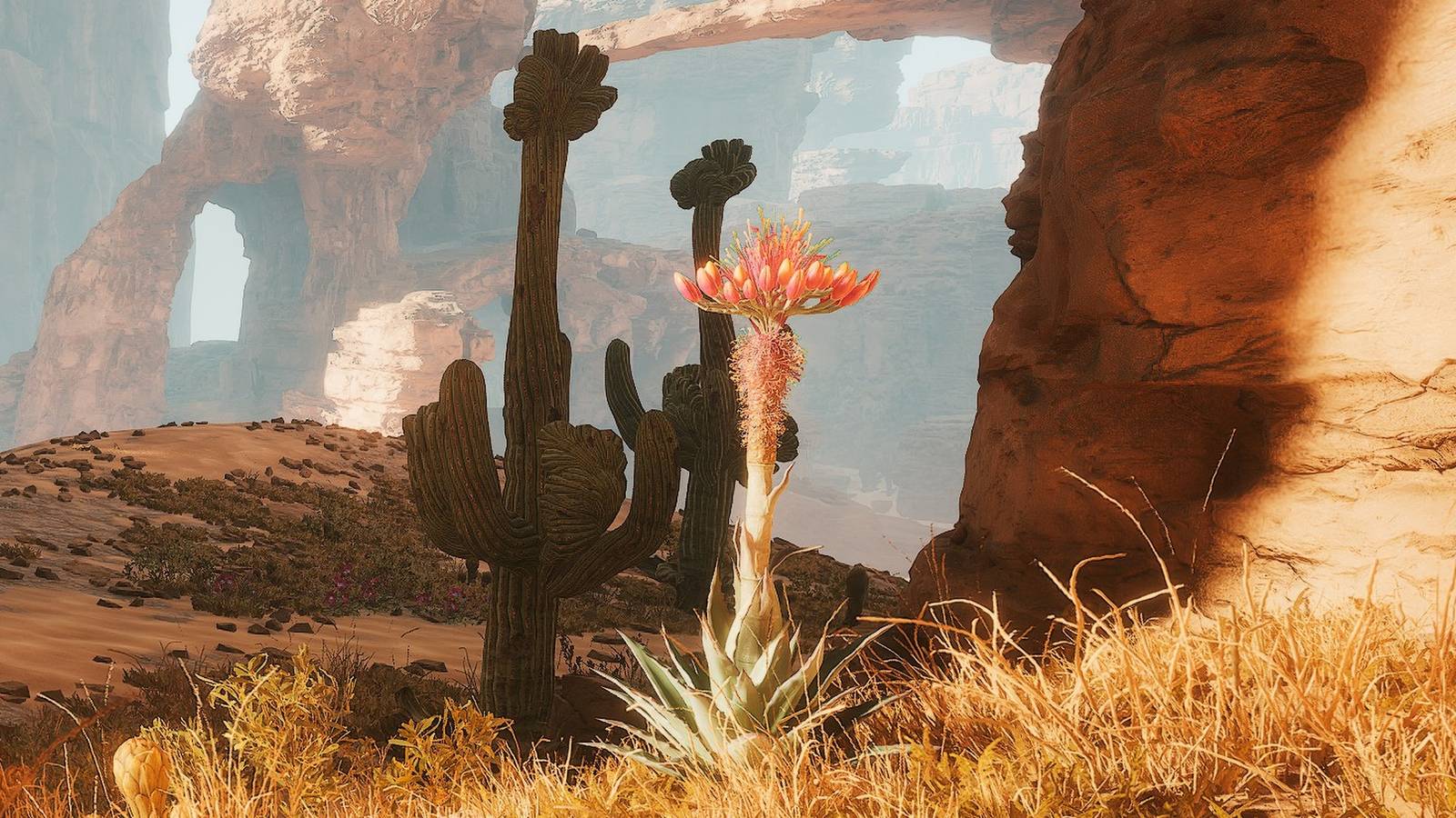 Dune Awakening Agave Seeds Header