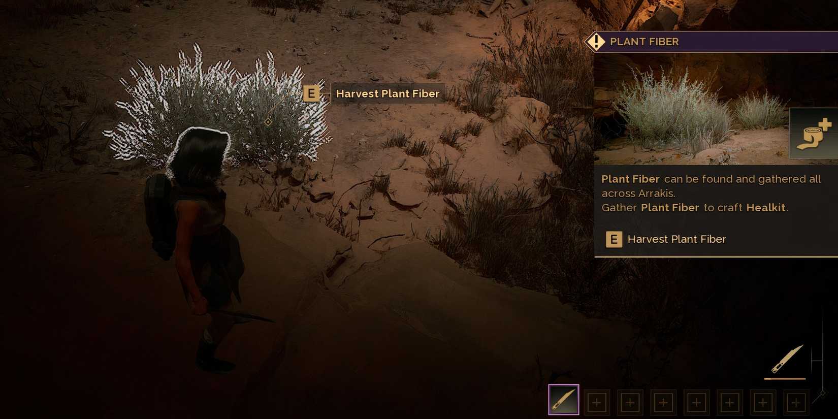 Dune Awakening plant fiber