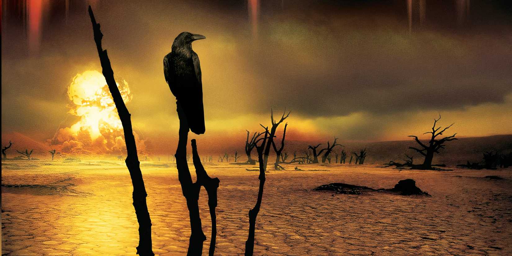 ebf7050fea8fc029c25f81831ff3d50d Cropped