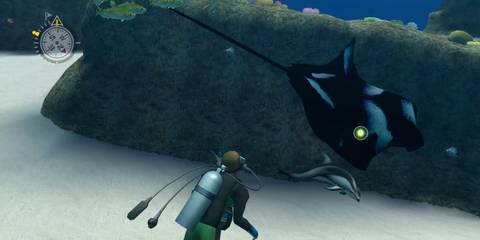 The diver encountering a large ray in Endless Ocean