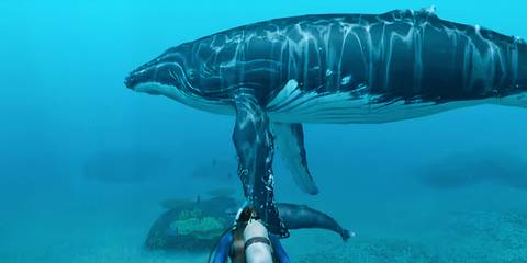 The diver encountering a humpback shark in Endless Ocean: Blue World