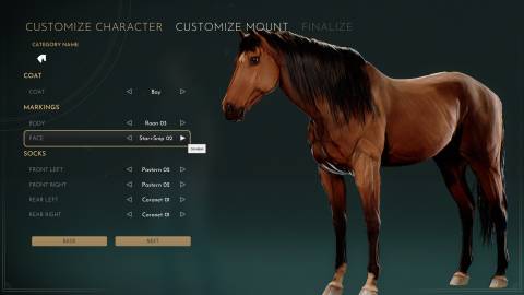 Equinox Homecoming Press Image 9