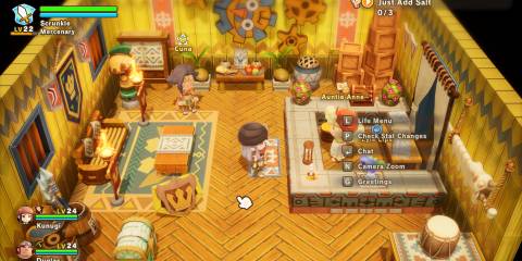 Image of Auntie Anne in the Guild Office in Fantasy Life i