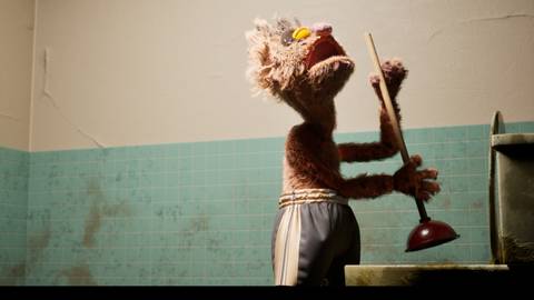 Felt That Boxing Press Image 5