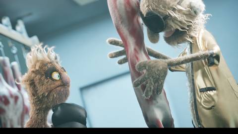 Felt That Boxing Press Image 6