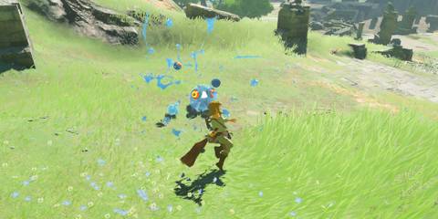 Fighting blobs in The Legend of Zelda Breath of the Wild
