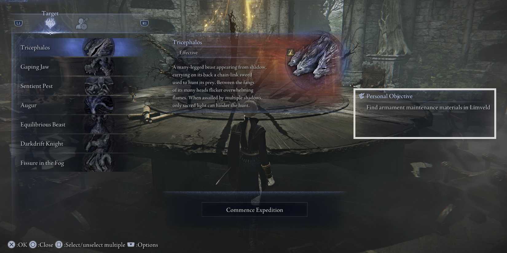 find armament maintenance materials in Limveld objective-Duchess first Remembrance in Elden Ring Nightreign