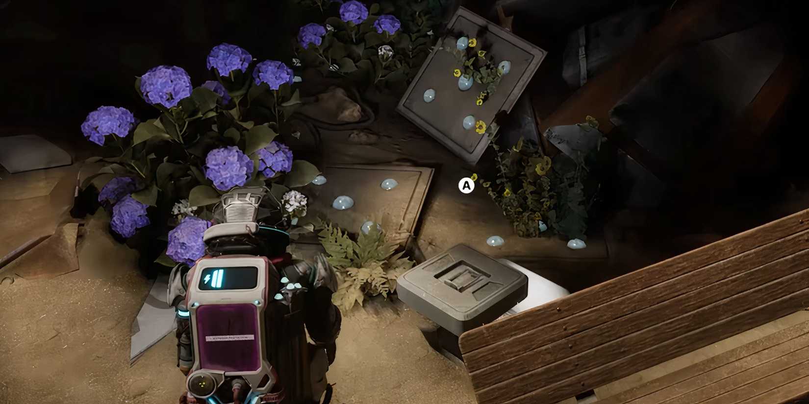 find something to comfort the technician in the alters