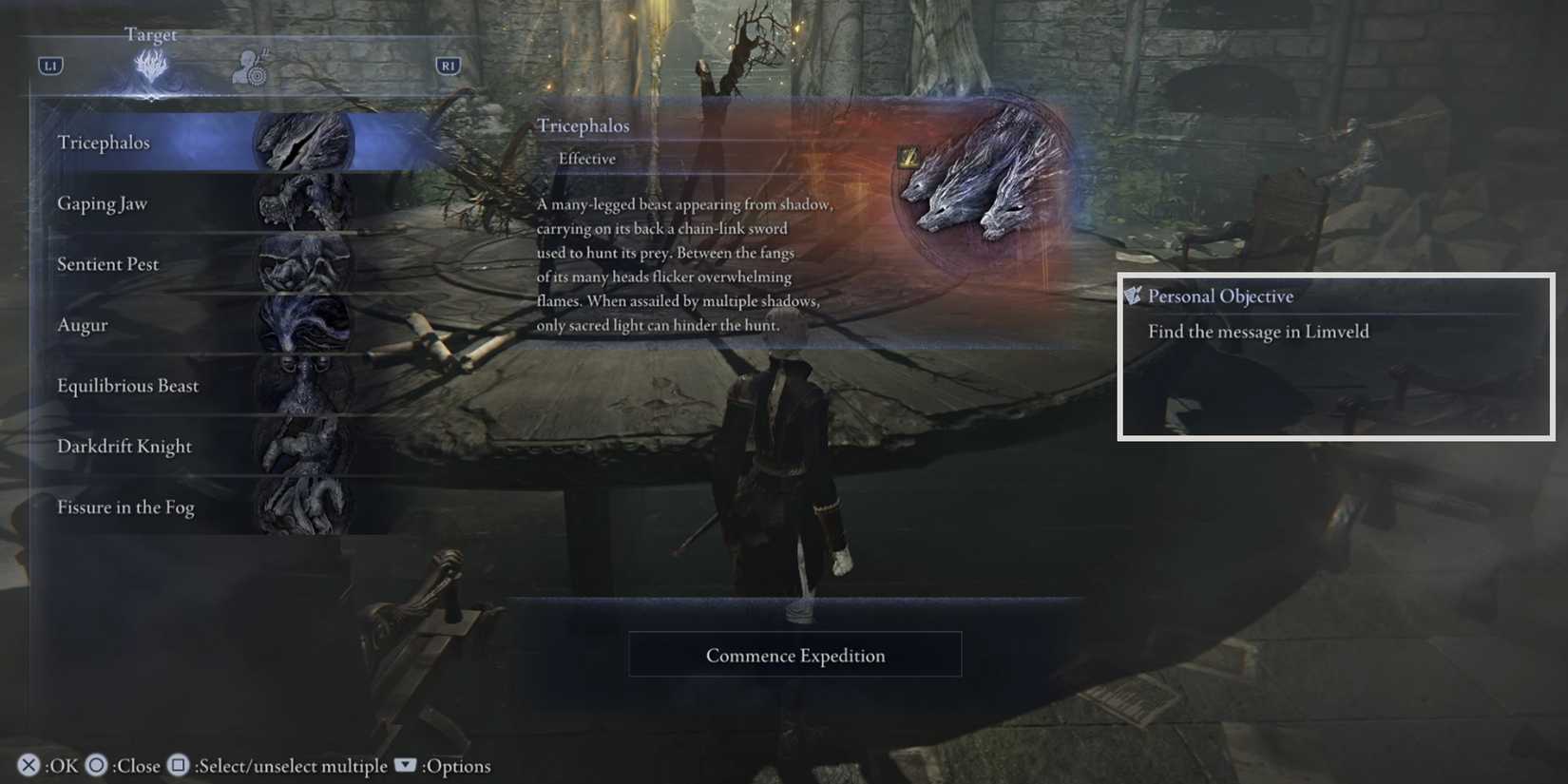 Find the message in Limveld-Duchess third Remembrance in Elden Ring Nightreign