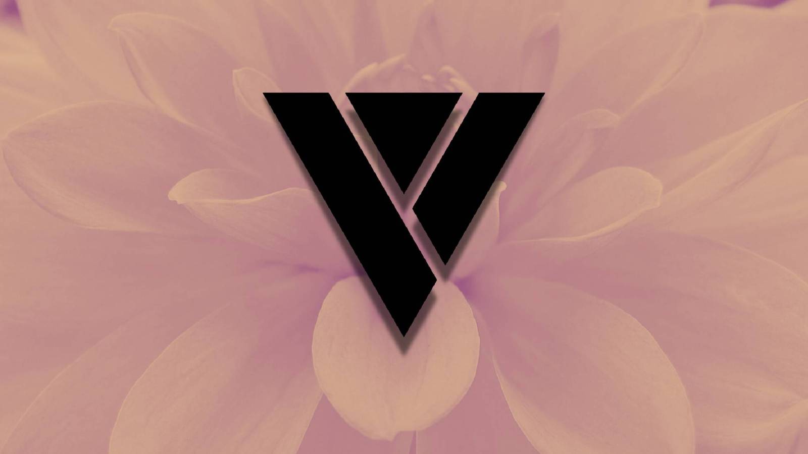 Black Valnet logo on a pink floral background