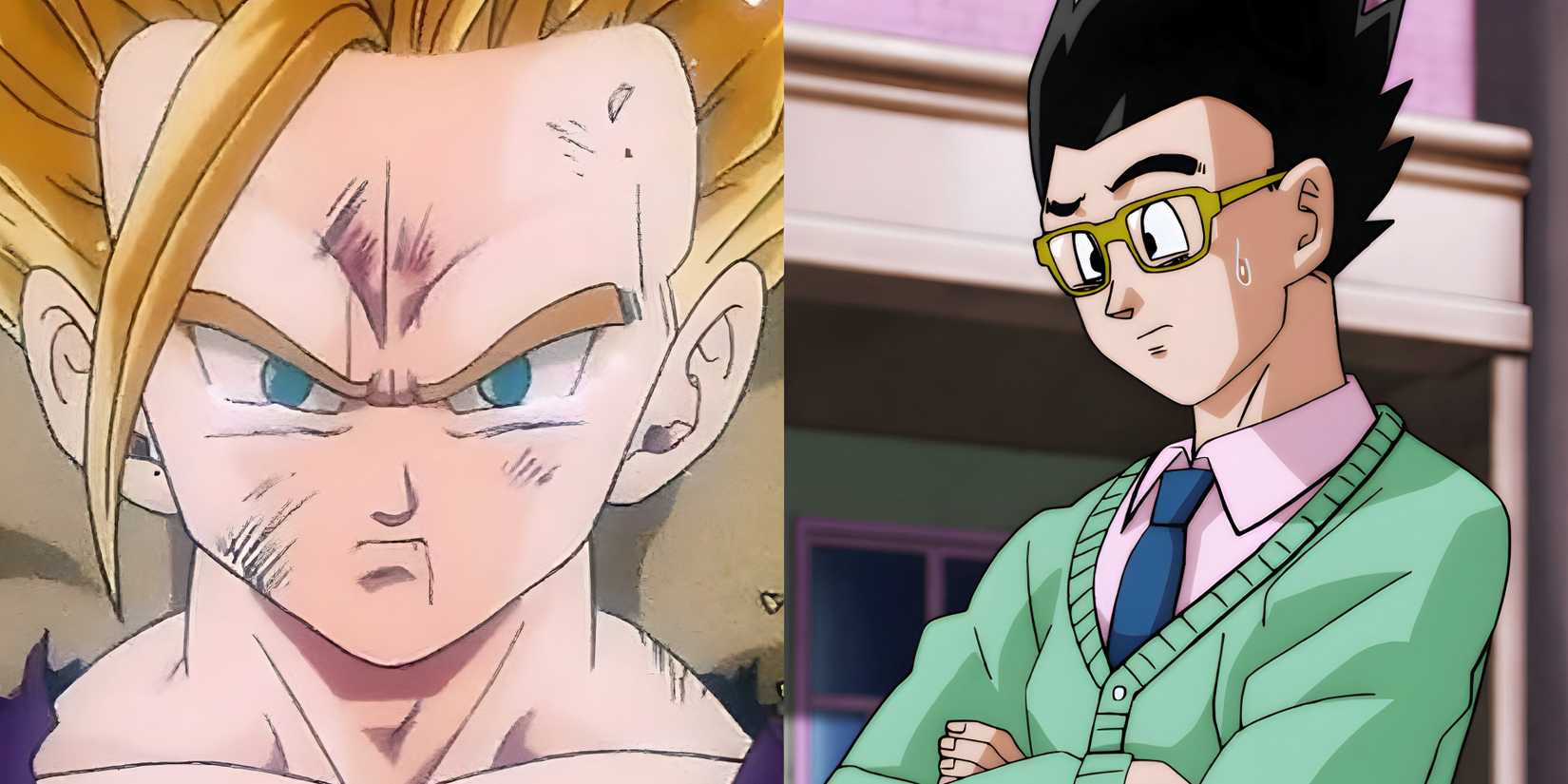 GOhan before and after