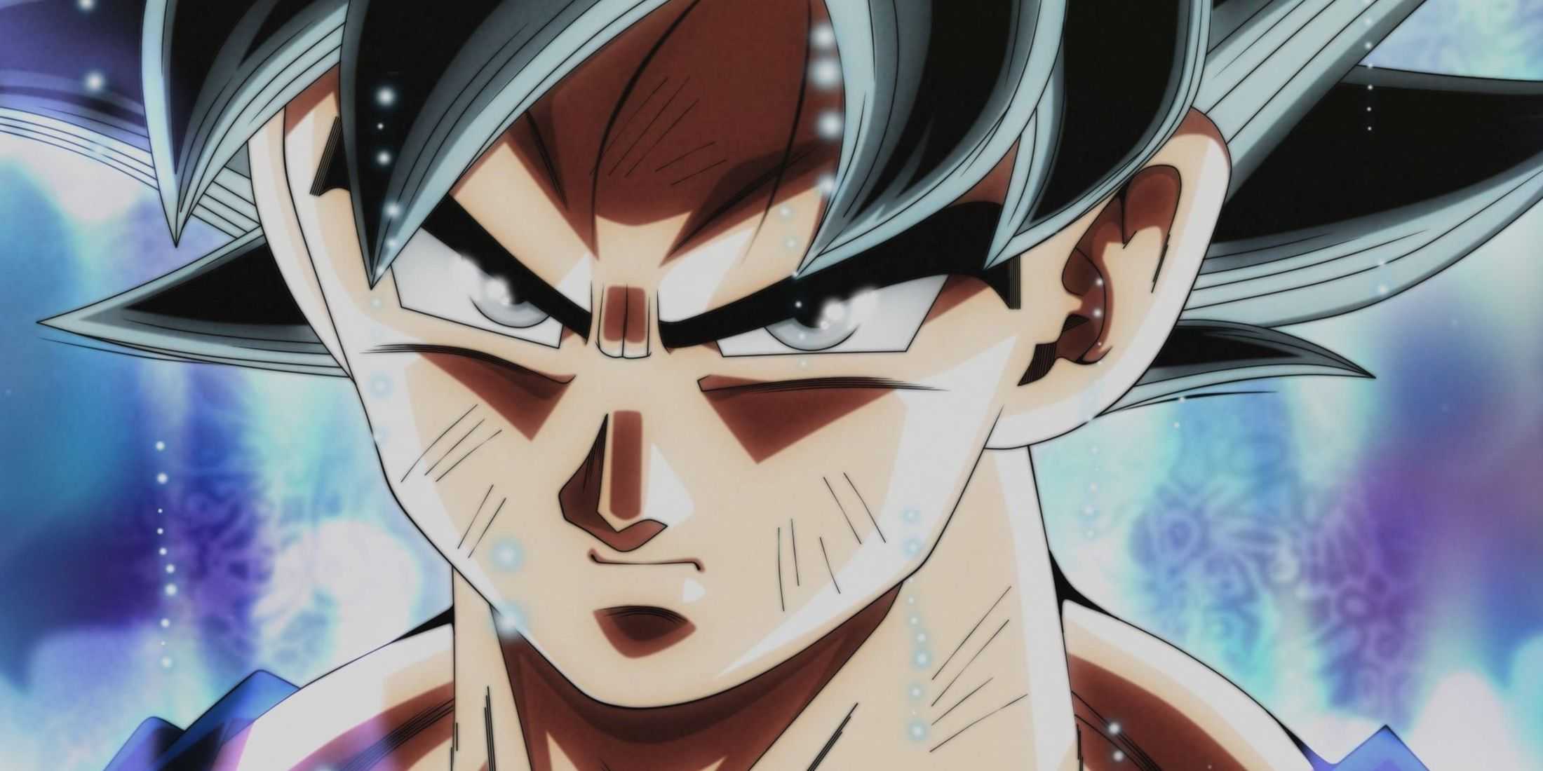 picture: goku in ultra instinct form.