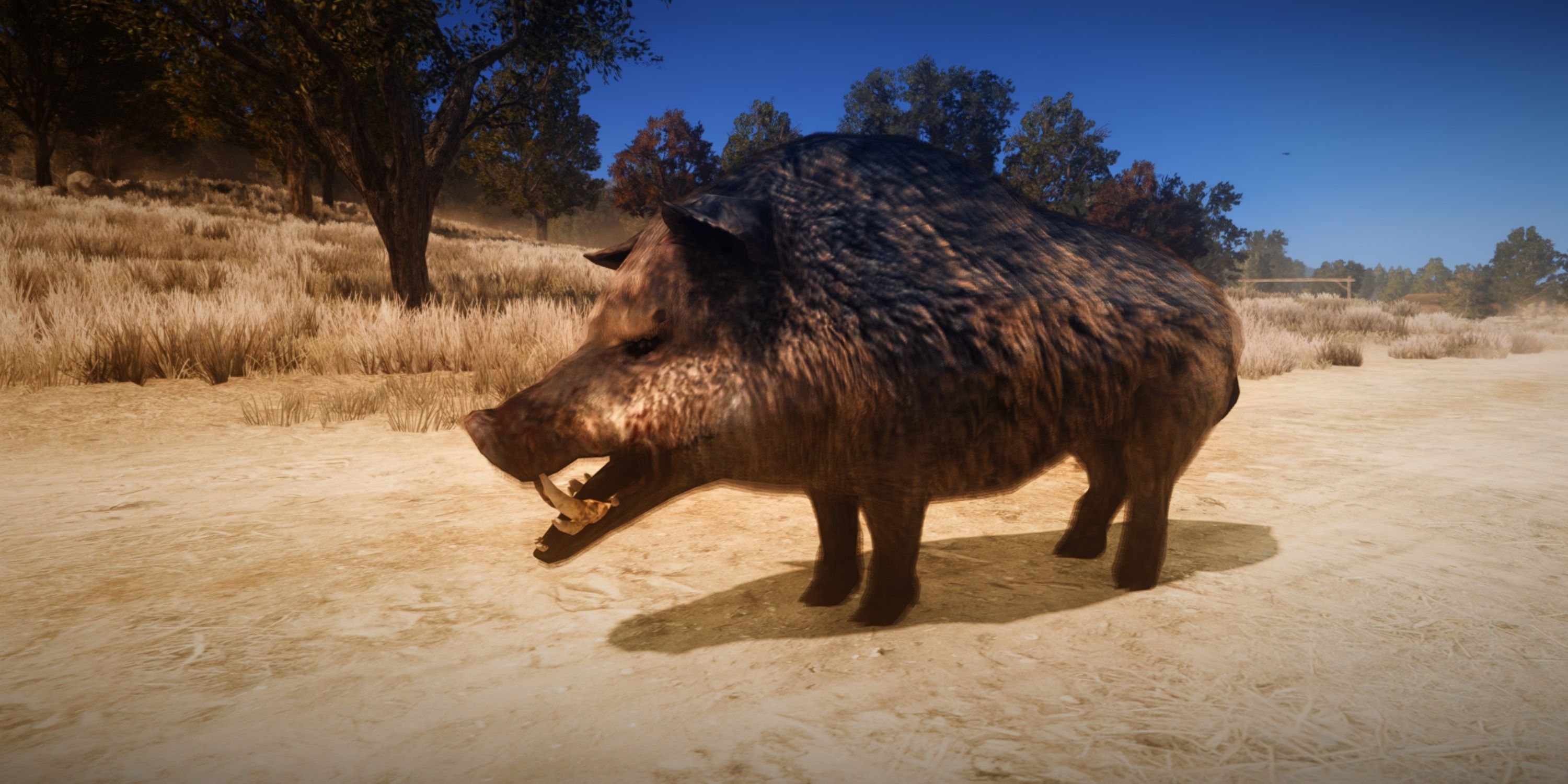 Master Hunter Challenges in Red Dead Redemption