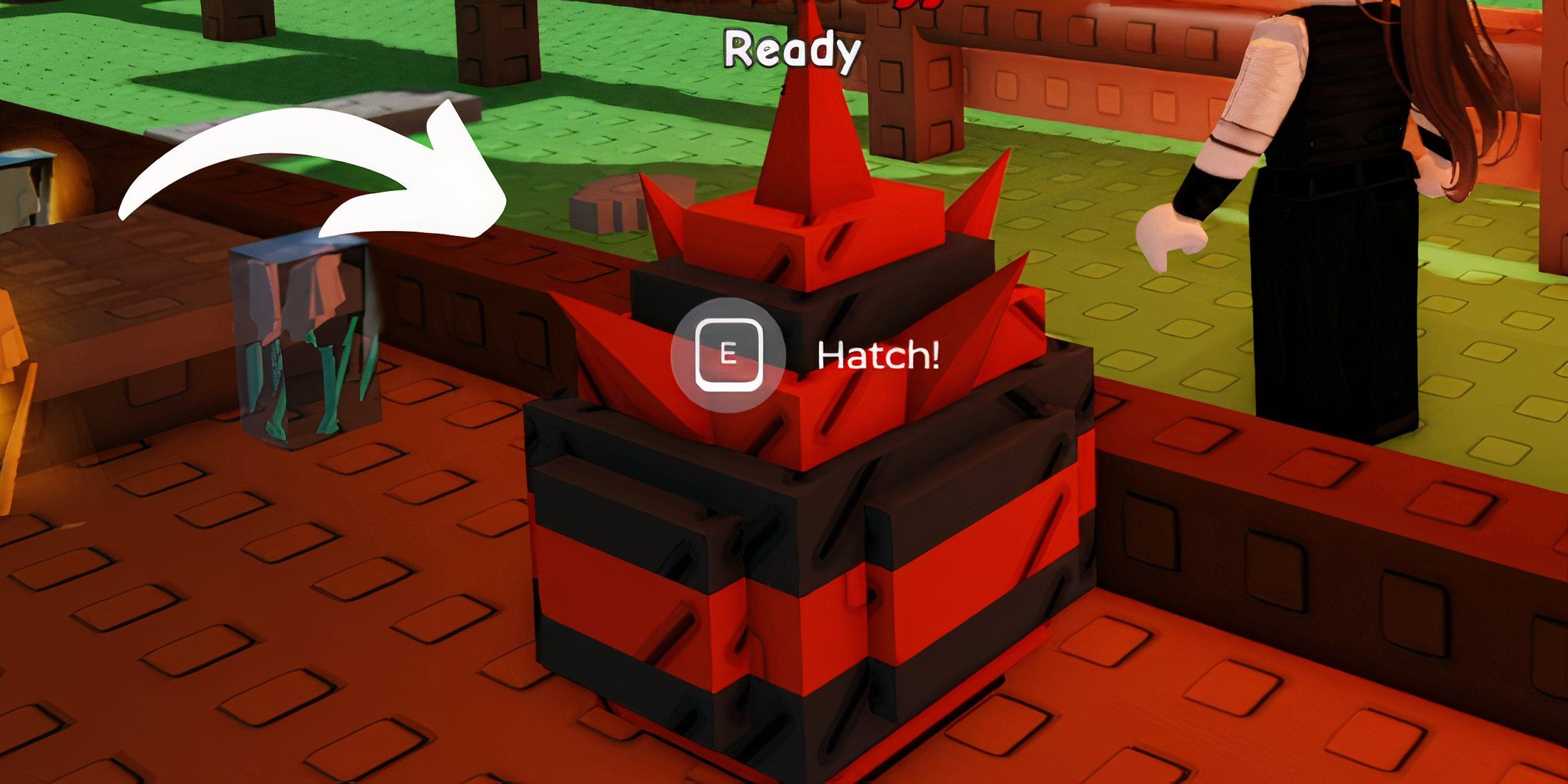 How to Opposit Egg Eggs