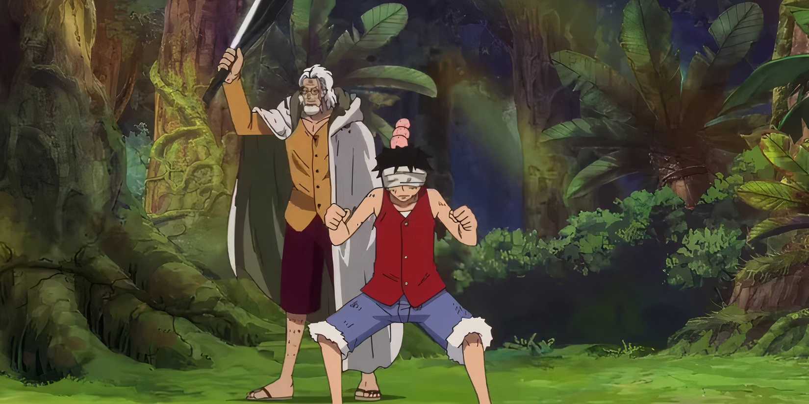 Luffy Training Under Silvers Rayleigh