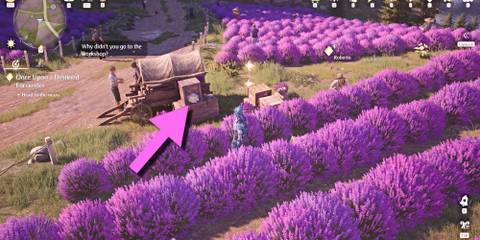 infinity-nikki-lavenfringe-gifty-solution