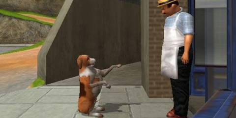 Jake interacting with a human - Dog's Life